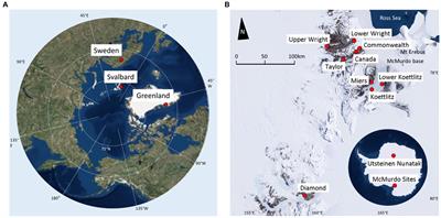 Polar Cryoconite Associated Microbiota Is Dominated by Hemispheric Specialist Genera